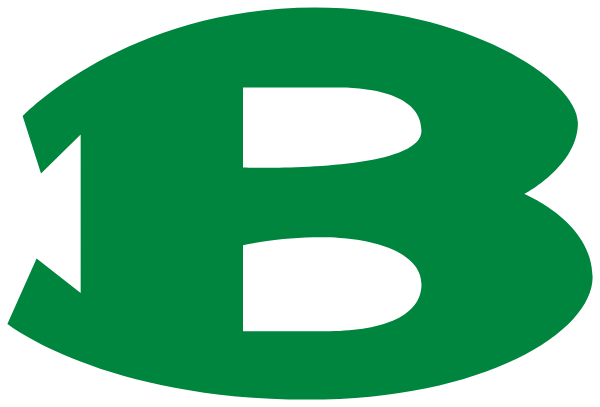 BOLING HIGH SCHOOL Logo