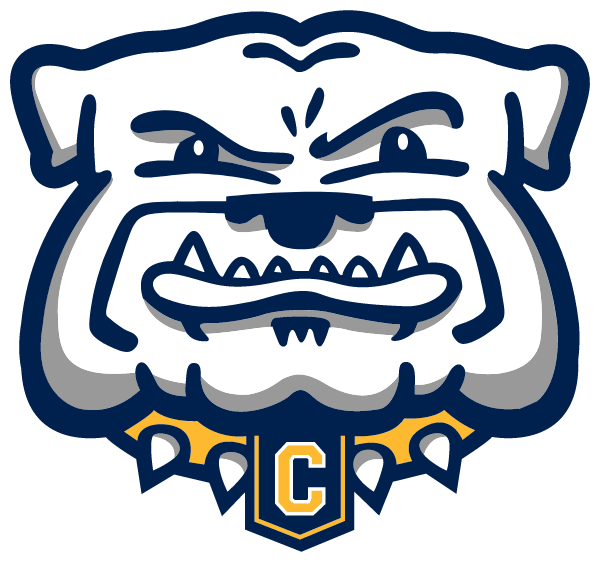 CHELSEA HIGH SCHOOL Logo