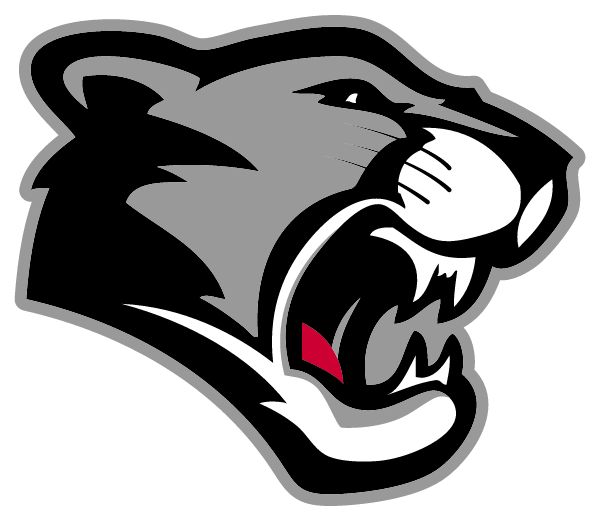 MENAUL SCHOOL Sideline Store Panthers (ALBUQUERQUE, New Mexico) Spirit Apparel & Accessories Store