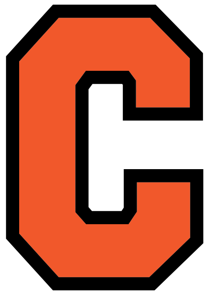 CHESANING HIGH SCHOOL Logo