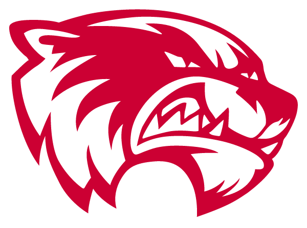 WEISER HIGH SCHOOL Logo