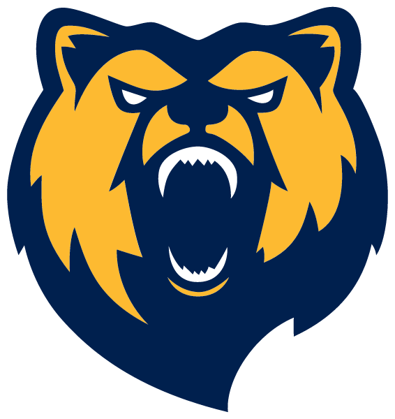 SUMMIT ACADEMY HIGH SCHOOL Logo