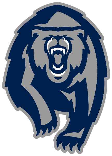 COPPER HILLS HIGH SCHOOL Logo