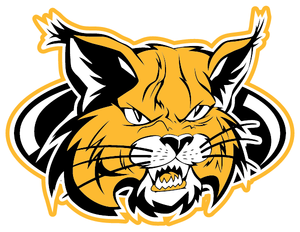 BUCHHOLZ HIGH SCHOOL Logo