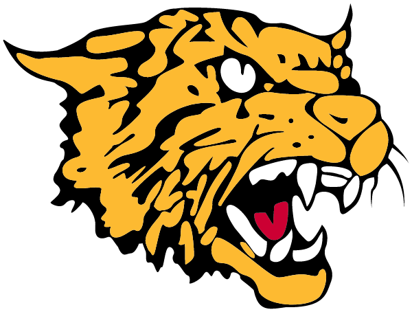 DIAMOND R-4 SCHOOL Logo