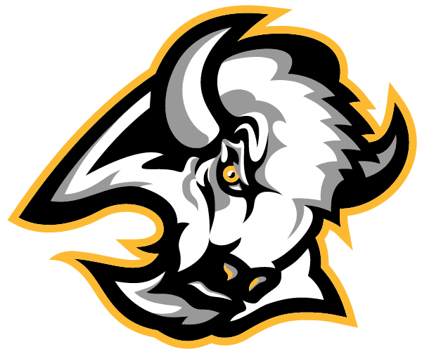 FLOYD COUNTY HIGH SCHOOL Logo