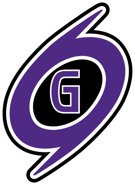 GAINESVILLE HIGH SCHOOL Logo