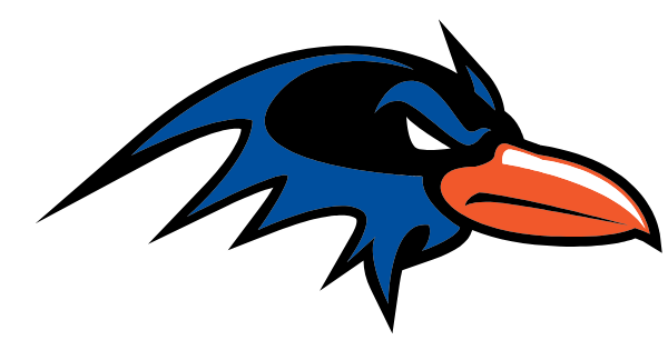 SAINT RAYMOND HIGH FOR BOYS Logo