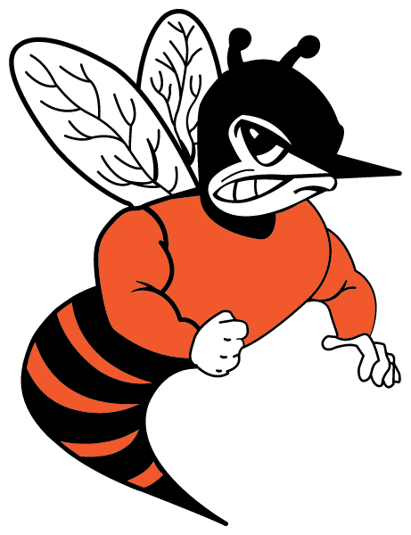 CHESTER HIGH SCHOOL Logo