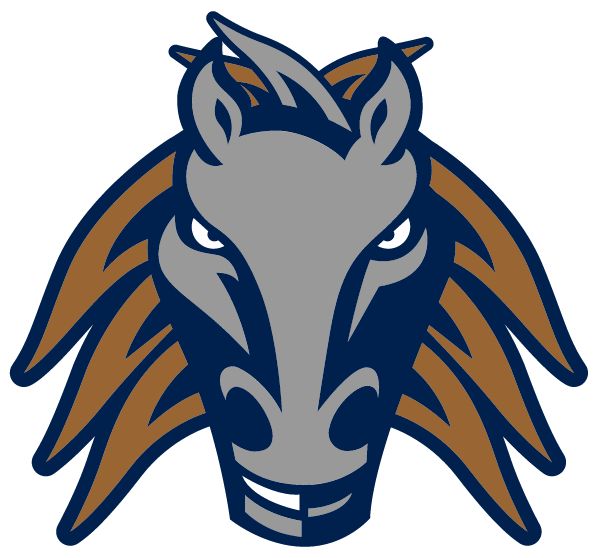 CHOLLA HIGH MAGNET SCHOOL Sideline Store Sideline Store