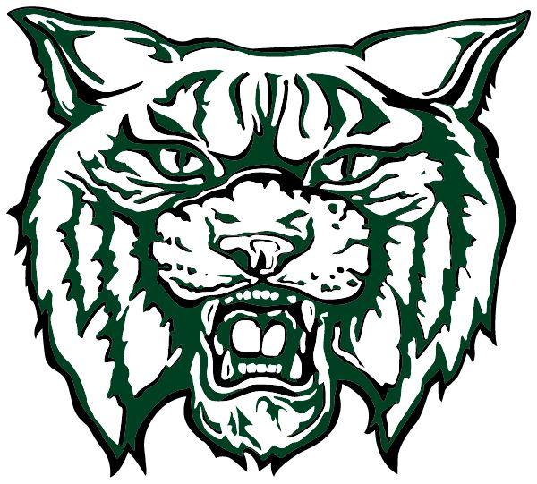 PADEN CITY HIGH SCHOOL Sideline Store Wildcats (PADEN CITY, WEST VIRGINIA) Spirit Apparel & Accessories Store
