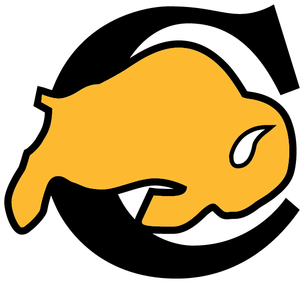 CALICHE HIGH SCHOOL Logo
