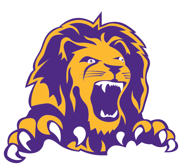 DENISON COMMUNITY HIGH SCHOOL Logo