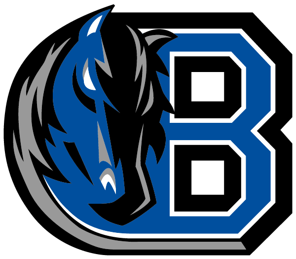 BRONXVILLE HIGH SCHOOL Logo