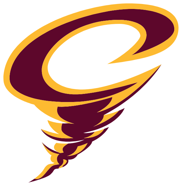 DENVER HIGH SCHOOL Logo