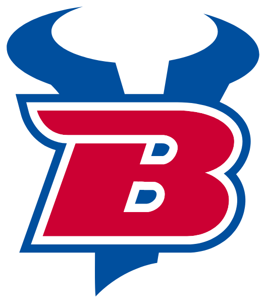 BIGFORK HIGH SCHOOL Logo
