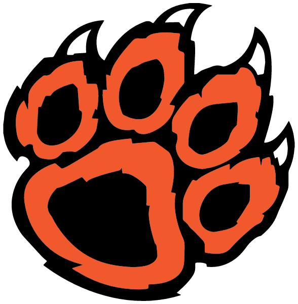 Verona Area High School Logo