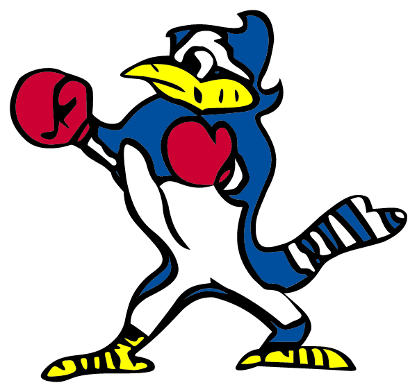 SAINT EDMUND HIGH SCHOOL Logo