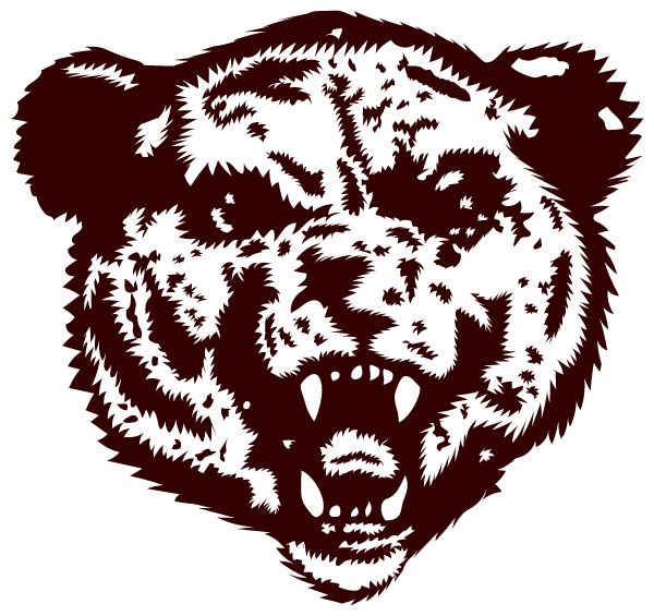 STONINGTON HIGH SCHOOL Logo