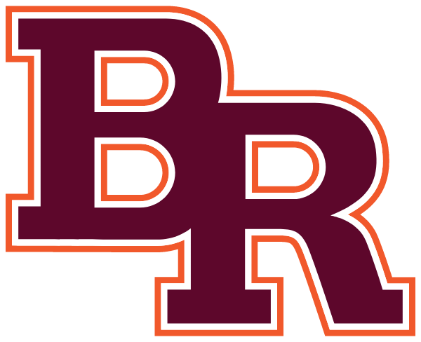 BROTHER RICE HIGH SCHOOL Logo