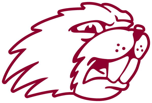 BLUEFIELD HIGH SCHOOL Logo