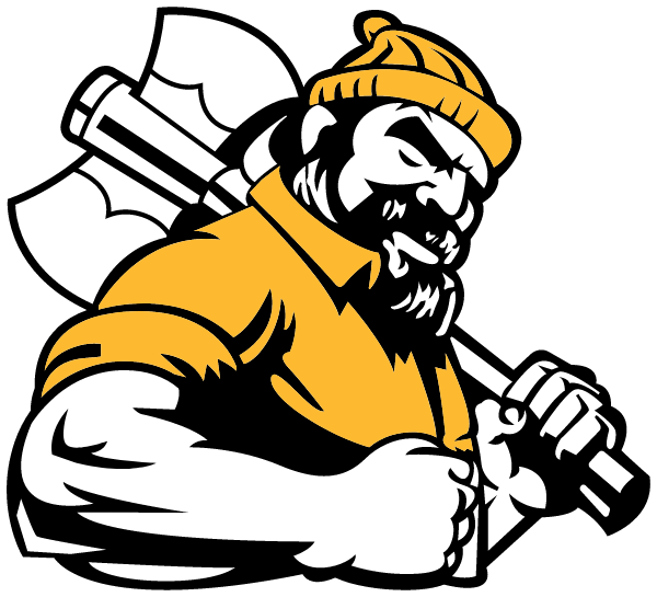 VALLEY HIGH SCHOOL Logo