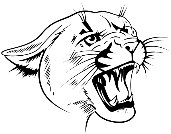 MEDOMAK VALLEY HIGH SCHOOL Logo