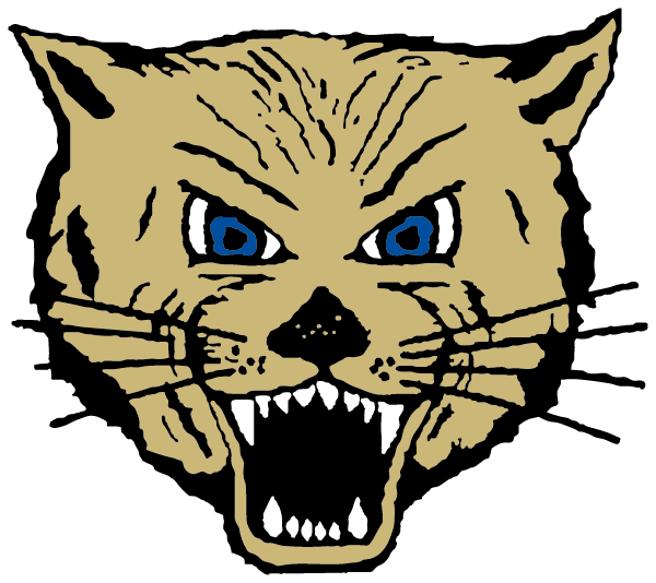 Lake Mills High School Logo