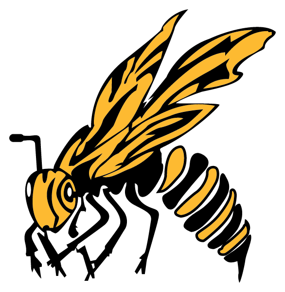 HACKETT HIGH SCHOOL Logo