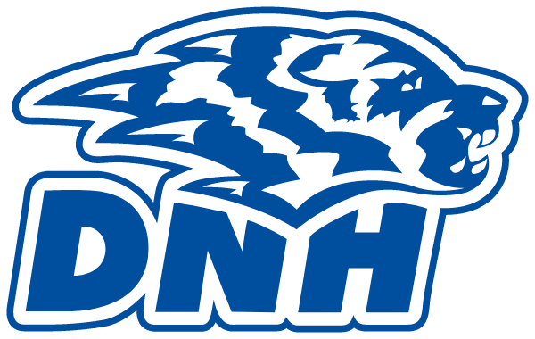 DIKE-NEW HARTFORD HIGH SCHOOL Logo
