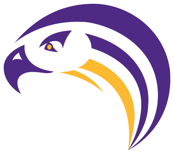 AIKEN HIGH SCHOOL Logo