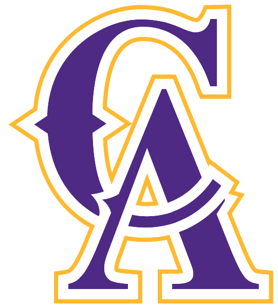 COLLINS ACADEMY HIGH SCHOOL Logo