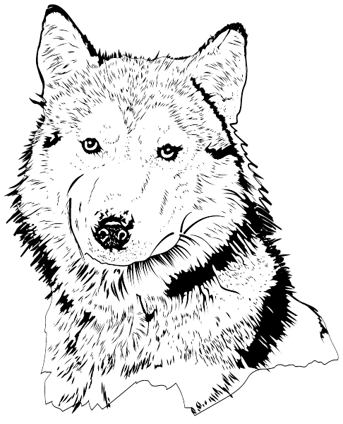 NORTH GARRETT COUNTY HIGH SCHOOL Logo