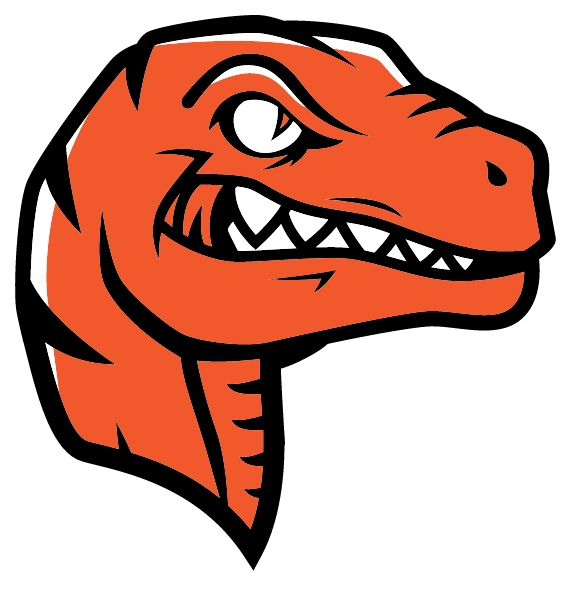 ANDERSON HIGH SCHOOL Logo