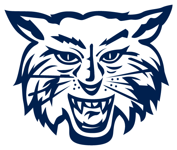 DALLASTOWN AREA HIGH SCHOOL Logo