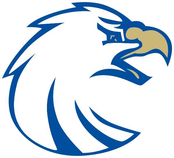 NEWTOWN HIGH SCHOOL Logo