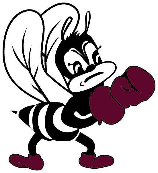 BAYONNE HIGH SCHOOL Sideline Store Bees (BAYONNE, NEW JERSEY) Spirit Apparel & Accessories Store