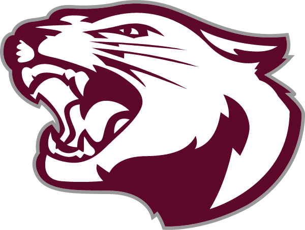 SOUTH DECATUR HIGH SCHOOL Logo