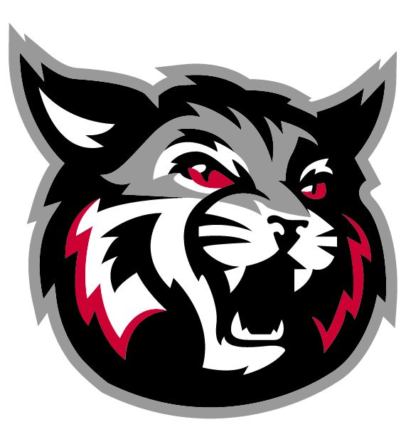 DEER PARK HIGH SCHOOL Sideline Store Wildcats (CINCINNATI, OHIO) Spirit Apparel & Accessories Store