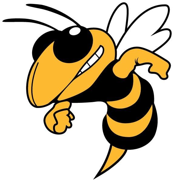 FAIR PLAY HIGH SCHOOL Logo