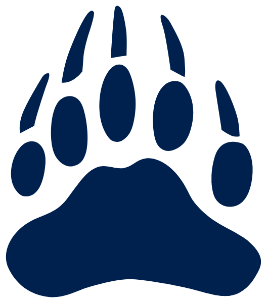 NEWPORT HIGH SCHOOL Logo
