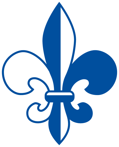St. Mary's High School Logo