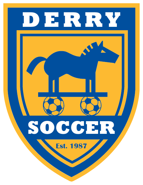 DERRY AREA HIGH SCHOOL Logo