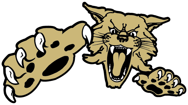 CHINLE HIGH SCHOOL Logo
