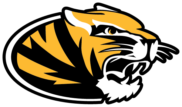 FESTUS HIGH SCHOOL Logo