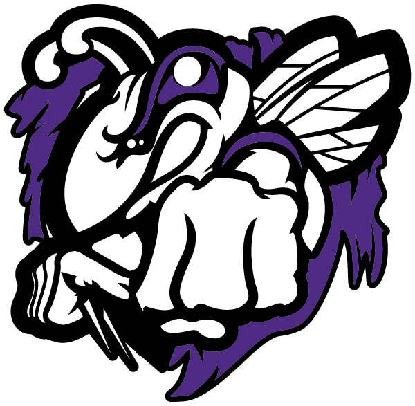 HAZEN HIGH SCHOOL Logo