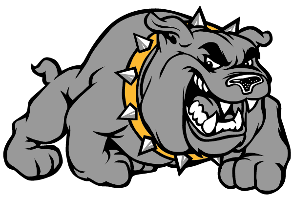 SOUTHERN SENIOR HIGH SCHOOL Logo