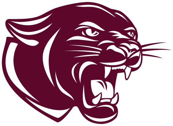 PLATTE-GEDDES COMMUNITY HIGH SCHOOL 11-5 Sideline Store BLACK PANTHERS (PLATTE, SOUTH DAKOTA) Spirit Apparel & Accessories Store