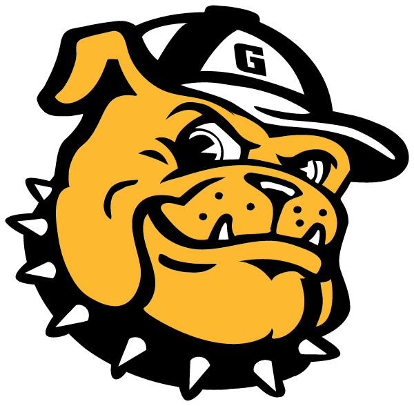 GEORGETOWN HIGH SCHOOL Logo