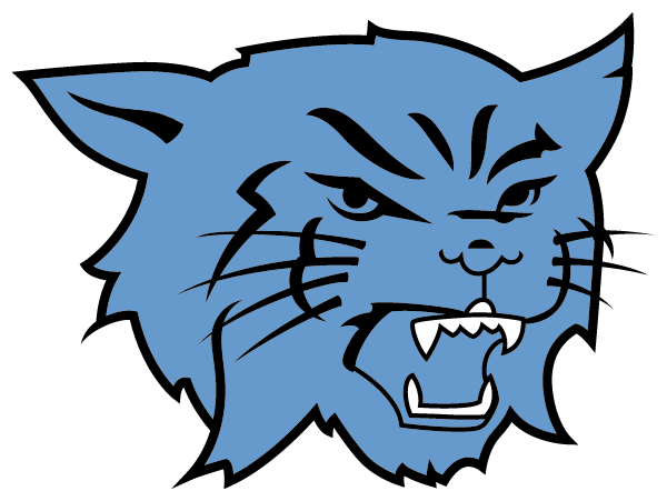 YORK HIGH SCHOOL Logo